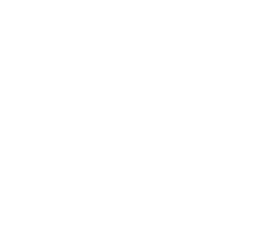 Dynasty Logo